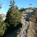 Kurz vor dem Gipfel der Hüenderegg (1874m). Zwischen Bäumen kann man den Hagelstock (2181,5m) erkennen.