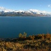 Am Lake Pukaki