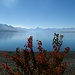 Ein Traumtag am Lake Pukaki