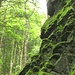 erste Felsen