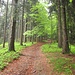 der Gipfel des Hornkopf