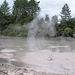 Typisch Neuseeland: Mud Pools