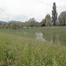 Land im Wasser