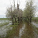 Allee unter Wasser