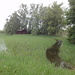 Moorlandschaft