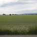 Beim Rückweg nochmals ein Blick über das weite Land
