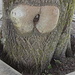Baum beim Grenzübergang, die Gedanken sind frei!