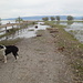 Weg ins Wasser