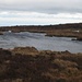 Orkanböen peitschen über offene Moor-Wasserflächen - wohl aus gleichem Grund ist das Foto nicht ganz scharf