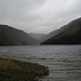 Wildnis pur - am Seerand des Upper Lake im Tal von Glendalough