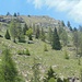 Dall'Alpe Le Piane sguardo alla cima da poco lasciata