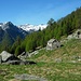 Alpe Pian Crosc m. 1840