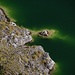 das grün schimmernde Wasser des Kratersees, irgendwie mystisch...