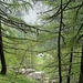 Alp Larechia