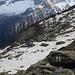 Alp Fiorasca
