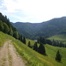 Weg ins Trockenbachtal, Blick zum Klausner Wald