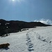 Steile Schneefelder zur Scharte zwischen Moserspitz & Hochhaide
