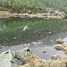 Al lago Grande.laghetto inferiore