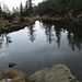 Riflessi