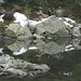 Lago Grande, lago superiore