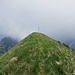 Der Gipfel des Tierberg mit improvisiertem Gipfelkreuz.