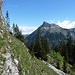 Erste "Schlüsselstelle" - der Weg ist schmal und rutschig, der Hang steil abfallend. Im Hintergrund Schibegütsch und Böli.