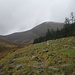 oberes Glen River Valley - in Bildmitte der Slieve Commedagh (767 m) - zweithöchster Nordirlands