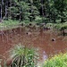 div. kleine Seen von Bibern angelegt