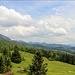 schöner Ausblick von der Bubenau in die Chiemgauer Berge