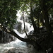 Faszinierender Wasserfall mitten im Wald, fast schon Urwaldstimmung.