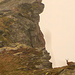 Uno stambecco nella sella tra la cima Stanga e il Torrone di Nav