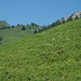 Rückblick auf einen Teil der heutigen Tour