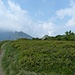 Il Pizzo Ometto emerge dalle nuvole. A destra tra la vegetazione il Pizzo Leone. 