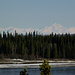 Die 4000er der Alaska Range (hinter ca. 150km Wald...)