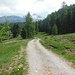 Stradina sterrata tra l'Alp e il Lej da Staz