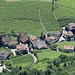 Dorf im Weinberg II