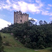 Burg Wartau