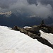 Piz Ot (3246,4m): Leider verdeckten Wolken die Aussicht auf Piz Bernina und Piz Palü. Für die Aussicht auf die höchsten Berge Graubündens wäre der Gipfel des Piz Ot einer der besten Standorte.