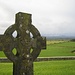 Viktorianischer Grabstein vor Grün der Weiden am Rock of Cashel