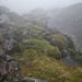 Gras, Steine und viel Wasser im Nebel - interessante Atmosphäre