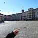 Angelo auf der Grande Piazza in Locarno