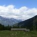 Alpe de Quarnei - Valle della Forcola
sullo sfondo le vette del S.Bernardino