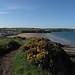 Broad Haven