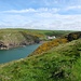 Nolton Haven