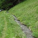 Tatz-Gisch Süe auf Alp Joli
