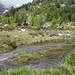 Bachläufe auf der  Alp Zer Pletschu