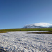 Ein Morgen wie aus dem Bilderbuch am Aragats