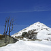 Blick über Chiematte hinauf zum Gärsthorn