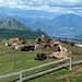 Panoramico pascolo dell'Alpe Colmine