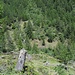 Blick ins wilde Val di Pai /<br />Vista sulla selvaggia Valle di Pai